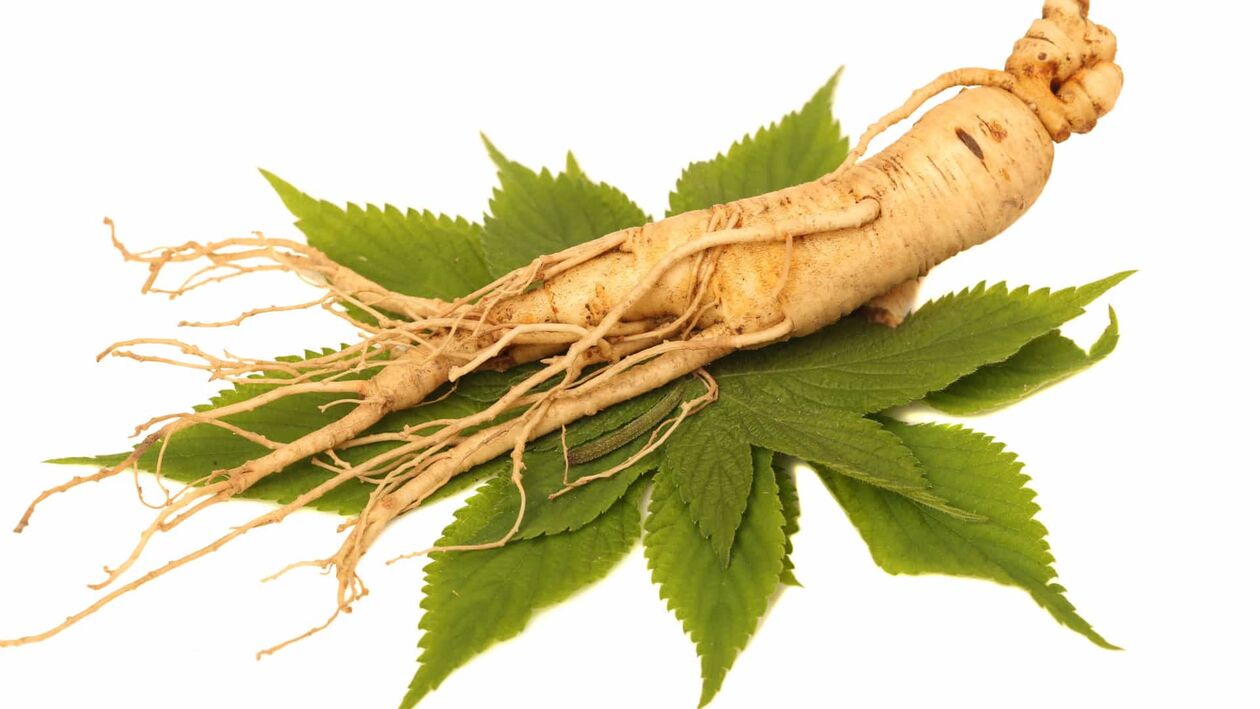 Feronex'te Ginseng